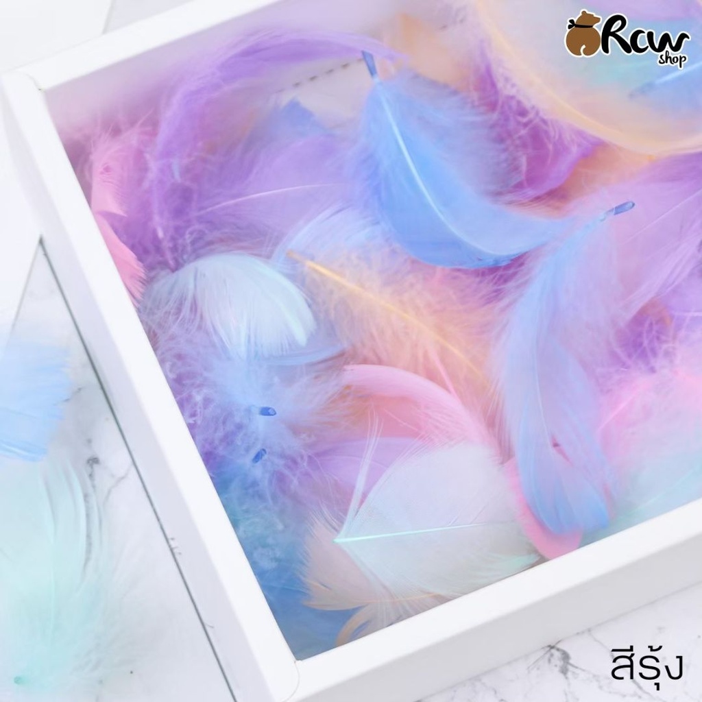 ขนนก DIY 100 เส้น