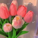 ดอกทิวลิป กว้าง 3.5 cm ยาว 28 cm