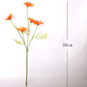 ดอกเดซี่ ก้านยาว 50 cm