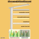 โคมไฟตั้งโต๊ะ LED ปรับได้ 3 ระดับ