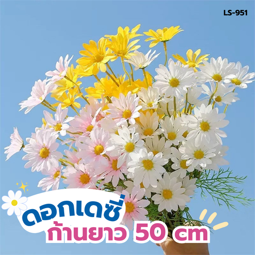 ดอกเดซี่ ก้านยาว 50 cm