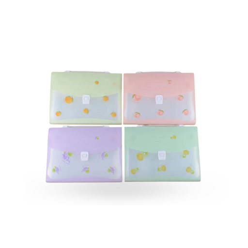 [VCC-386] กระเป๋าเอกสาร 12 ช่อง A4 ใสขุ่น คละลาย
